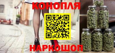 стафф Лесосибирск