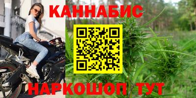 стафф Лесосибирск